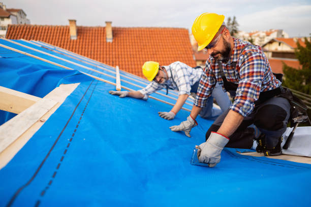 Best Roof Moss and Algae Removal  in Schlusser, PA